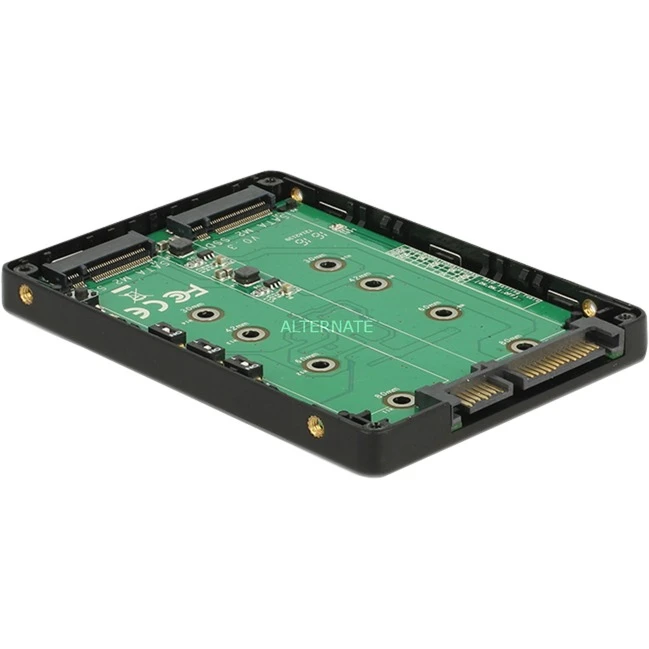DeLOCK 2.5" Konverter SATA 22Pin>2x M.2, Serial ATA-Controller
