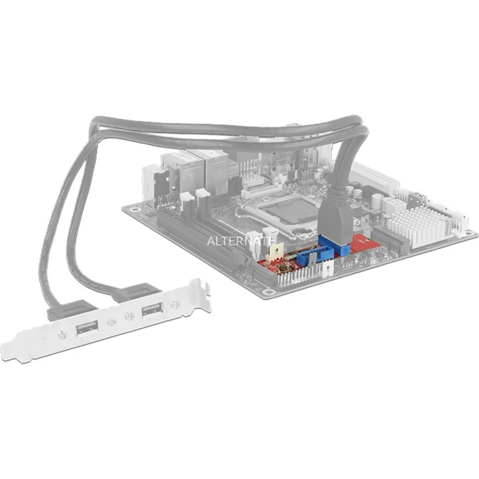 Mainboard Zubehör DeLOCK M.2 Key B+M Stecker > 2 X USB 3.0 Pfostenstecker, Konverter – Bild 3