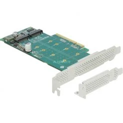 DeLOCK PCI Express X8 Karte Zu 2 X Intern NVMe M.2 Key M - Bifurcation, Controller