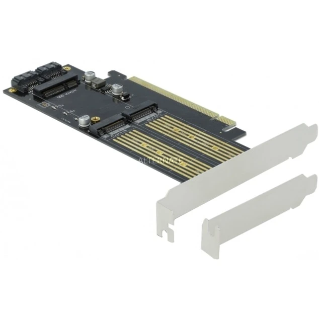 Controller DeLOCK PCIe X16 Karte > 2x M.2 KeyB + 1x MSATA, Schnittstellenkarte