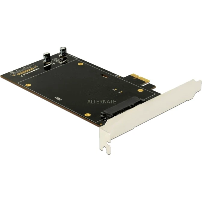 DeLOCK PCIe X1 Karte Für 2x SATA HDD/SSD, Controller
