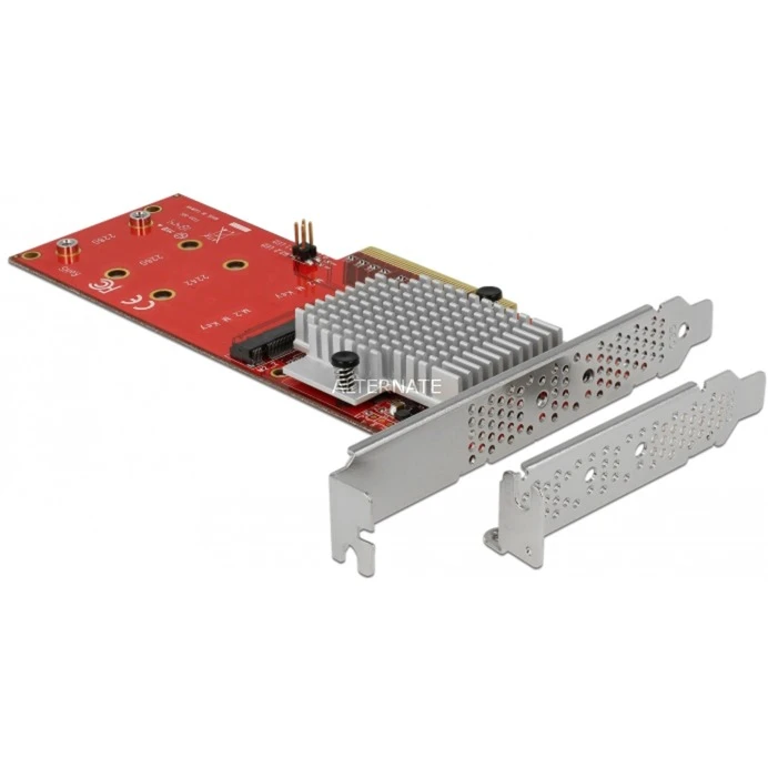 Controller DeLOCK PCIe X8>2x Int. NVMe M.2 Key M LP, Adapter 2 Controller DeLOCK PCIe X8>2x Int. NVMe M.2 Key M LP, Adapter – Bild 2