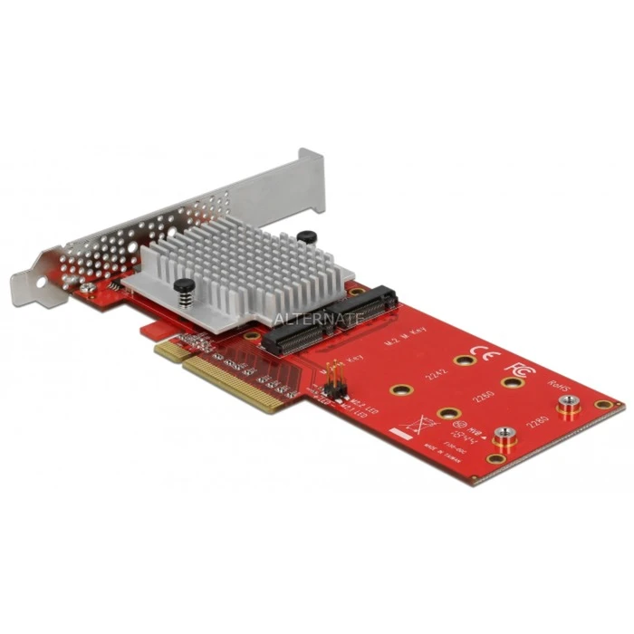 Controller DeLOCK PCIe X8>2x Int. NVMe M.2 Key M LP, Adapter 3 Controller DeLOCK PCIe X8>2x Int. NVMe M.2 Key M LP, Adapter – Bild 3
