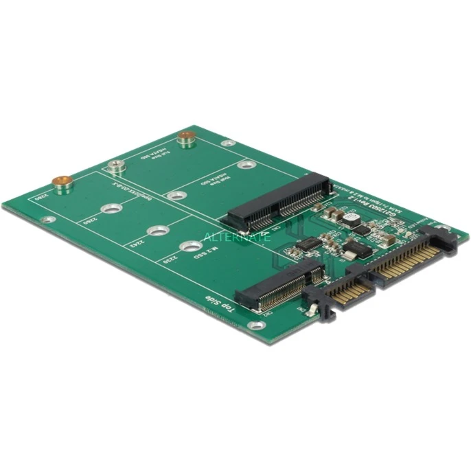 DeLOCK Sata 22 Pin > 1 X M.2 + 1 X MSATA, Serial ATA-Controller
