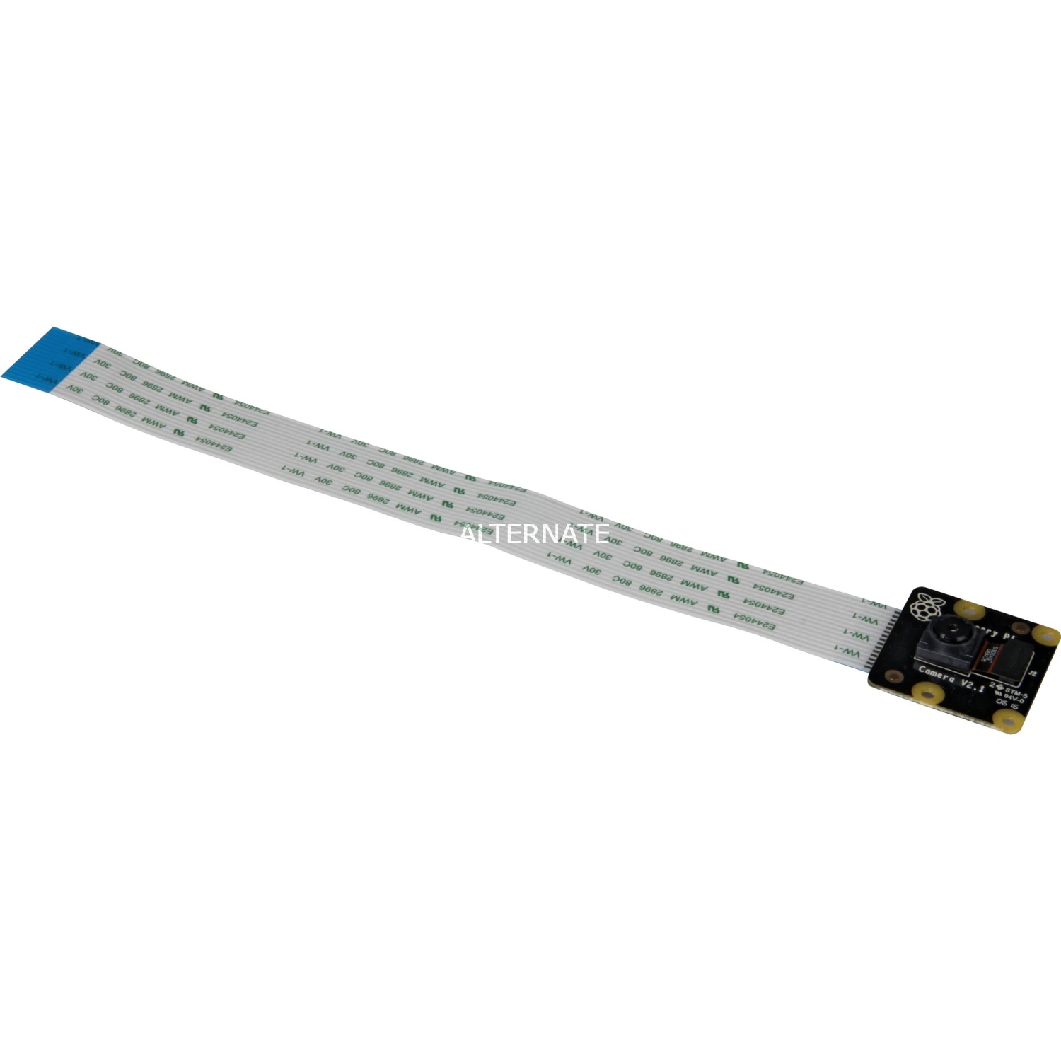 Raspberry Pi Foundation Pi 8 MP NoIR Camera Modul Für Raspberry Pi, Kameramodul